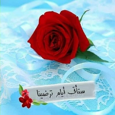 ابو العز الغرباني العياني Profile