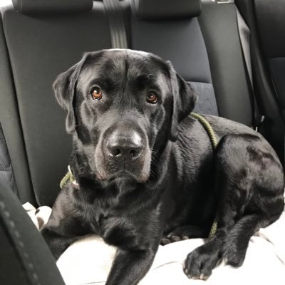 juice_vera's profile picture. Human