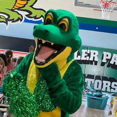 The AFA is a parent organization for Adler Park School. Go Gators!
