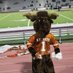 W. T. White Newspaper (@wtwroundup) Twitter profile photo W. T. White Newspaper (@wtwroundup) Twitter profile photo