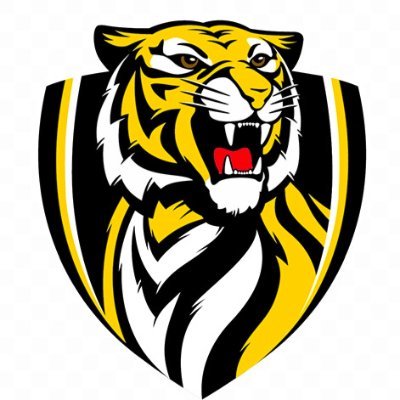 Ripley Tiger Football Profile