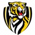 Ripley Tiger Football (@ripley_tiger) Twitter profile photo Ripley Tiger Football (@ripley_tiger) Twitter profile photo