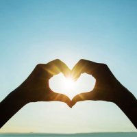 Body Wisdom Chiropractic (@raleighncchiro) 's Twitter Profile