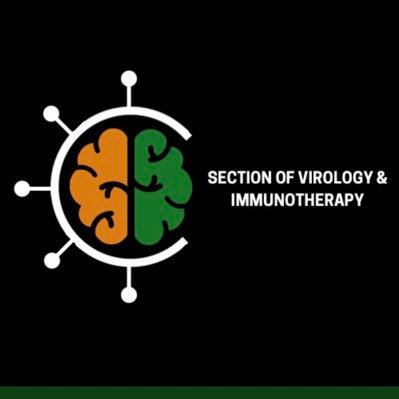 University of Miami Brain Tumor Initiative  Section of Virology and Immunology Pioneering Translational Therapies for Brain Tumor