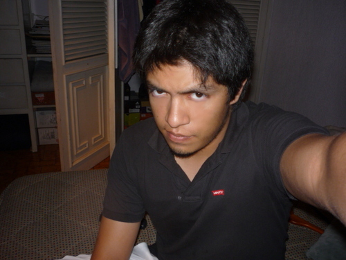 userpolux's profile picture. 