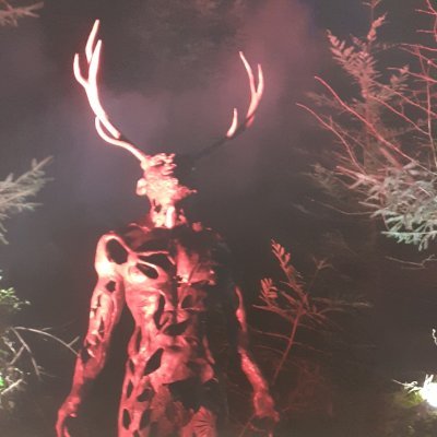 Mjgrain1's profile picture. 