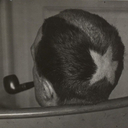 Marcel Duchamp - @MarceIDuchamp - Twitter