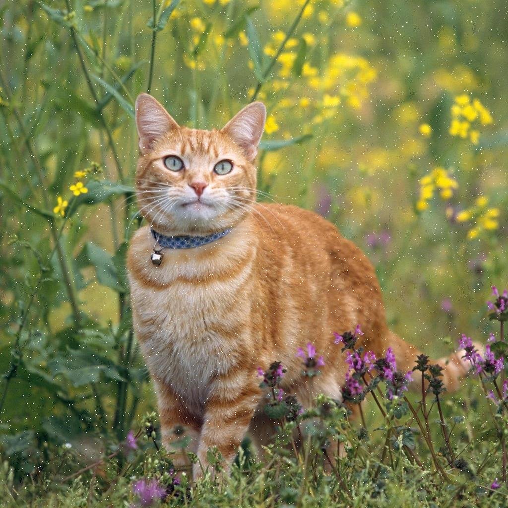 Isla26231's profile picture. 