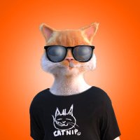 shiftea {9L} (@shiftea5cripto) 's Twitter Profile