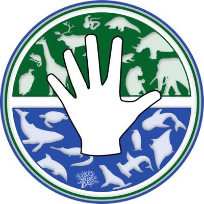 5WFoundation's profile picture. - next generation #conservation -
Helping preserve and protect #biodiversity and #threatened #wildlife.
https://t.co/ct3wRsSfxQ