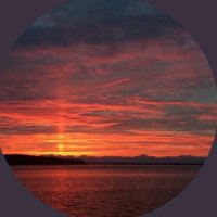 john (@_johnboy69) 's Twitter Profile