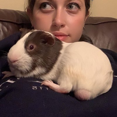 Guineapig Lover Profile