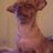 TheSaucer456's profile image