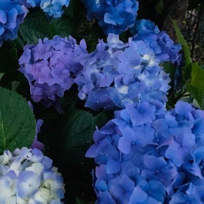 takenote_guitar's profile picture. 