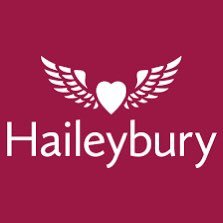 Community Action Volunteering at Haileybury