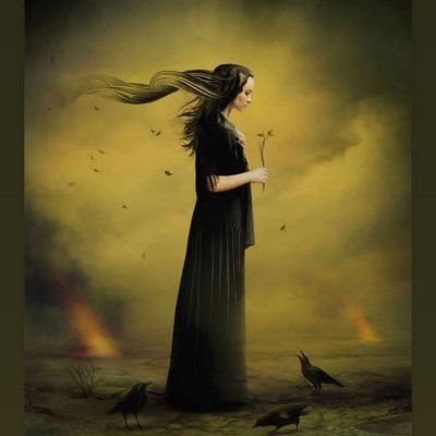 gostinthefly's profile picture. پرنده