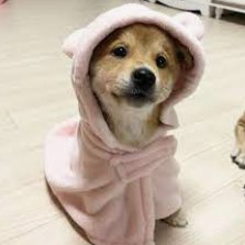 rexvfxx's profile picture. Pro editor☆ l Hmu of you need a montage!☆ l Grinding For @Avoragg & @avoraacademy & @s9ntry