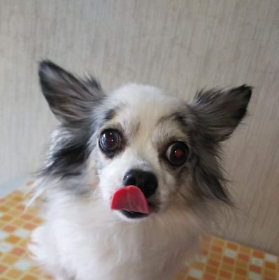 あいさんのプロフィール画像