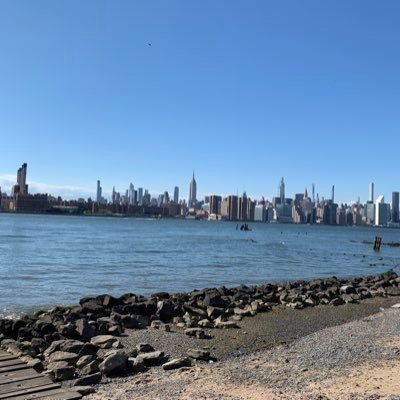 wlrdmlk's profile picture. 