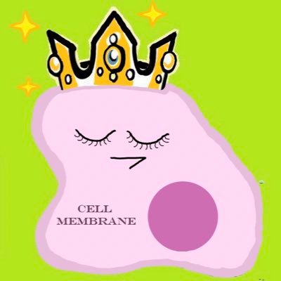without us you’d be nothing - literally. can’t have eukarya if the organelles are dead! cell membrane for prez 2022 ~ don’t be insane… vote cell membrane!! 💚🙌