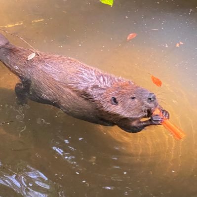 minco_besty's profile picture. 長崎ヴェルカ🏀を応援しています📣✨ (時々V.ファーレン長崎⚽️)