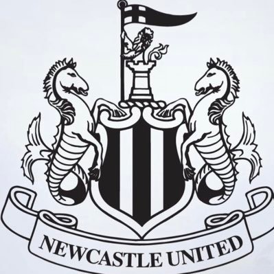 Newcastle United ♠️🤍♠️. Geordie Gamer 🎮              TWITCH: https://t.co/pHD6lXEM3E