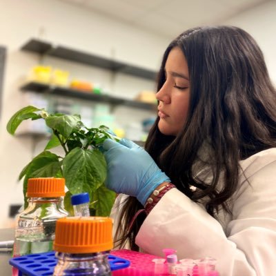 MSc. in Plant Pathology | Agronomist 🌱 | @eapzamorano 20’ | Ecuatoriana 🇪🇨