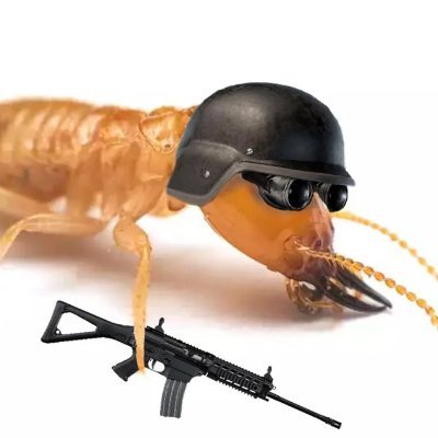 Commander in Chief of the combined termite forces. fought for the colony, glory to the Termite Empire. Message me to join the fight. #mitesunite #TermiteTwitter