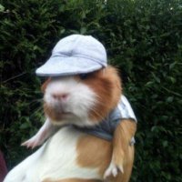 amilli (@monkeyspace3000) 's Twitter Profile