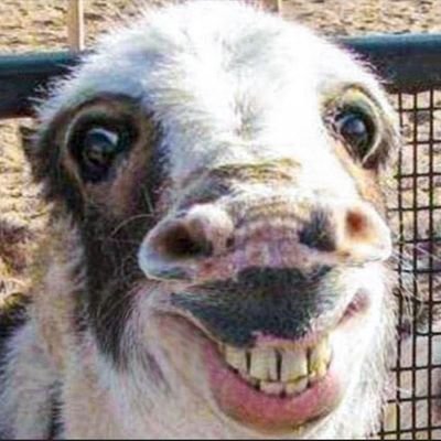 Ahicks207_'s profile picture. 