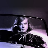 𝓡𝓮𝓫𝓮𝓬𝓬𝓪 *¨*•.¸¸.•*¨* (@vox_politica) 's Twitter Profile