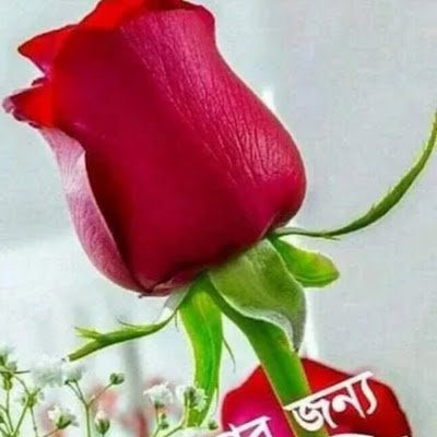 NmNazmul10's profile picture. মানুষ মানুষের জন্য
