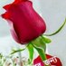 Nazmul hosen (@nmnazmul10) Twitter profile photo Nazmul hosen (@nmnazmul10) Twitter profile photo