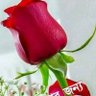 NmNazmul10's profile picture. মানুষ মানুষের জন্য