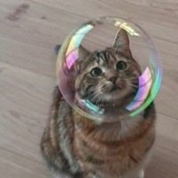 NoName (@nnless1126) 's Twitter Profile