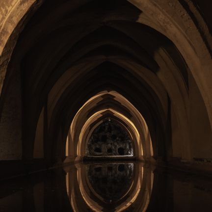 Himansh19602913's profile picture. 