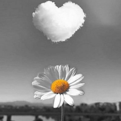 MariahTereza40's profile picture. 🌻❤️🌿