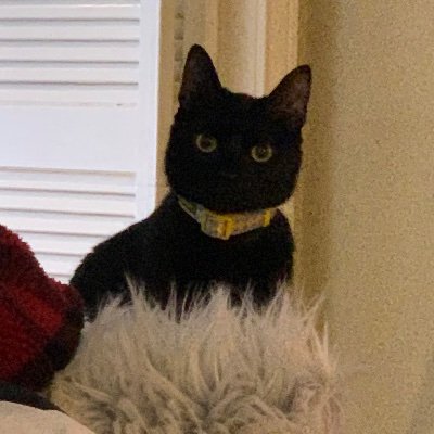 alexa_mccos's profile picture. SPEDucator • zoog disney enthusiast