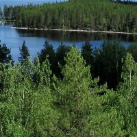 Kirsi Kilpinen (@kirsikilpinen) 's Twitter Profile Photo Kirsi Kilpinen (@kirsikilpinen) 's Twitter Profile Photo