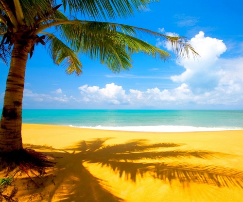 holysmokes28's profile picture. 