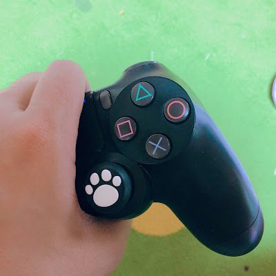 gjoNQMtxThWCncZ's profile picture. 