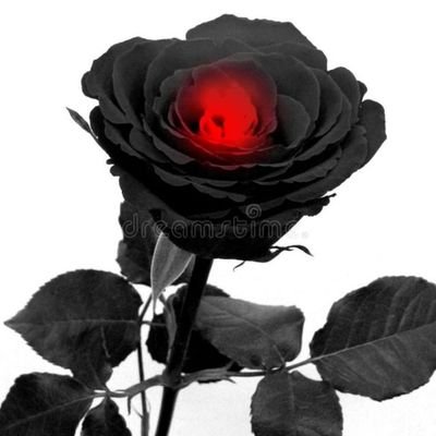 arif_md's profile picture. 