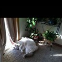 Shannon Larson - @tweet013 - Twitter