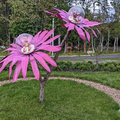 ka_wilks's profile picture. 