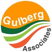 Gulberg Associates Official(@OfficialGulberg) 's Twitter Profile Photo