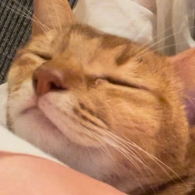 ななみさんのプロフィール画像