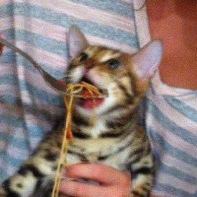 i_forgeting_a's profile picture. 