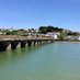 In Devon & the South West🌺 (@wendymounce) Twitter profile photo In Devon & the South West🌺 (@wendymounce) Twitter profile photo