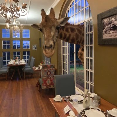 dcinmb's profile picture. 