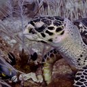 Todd Heinz - @ToddHeinz1art - Twitter